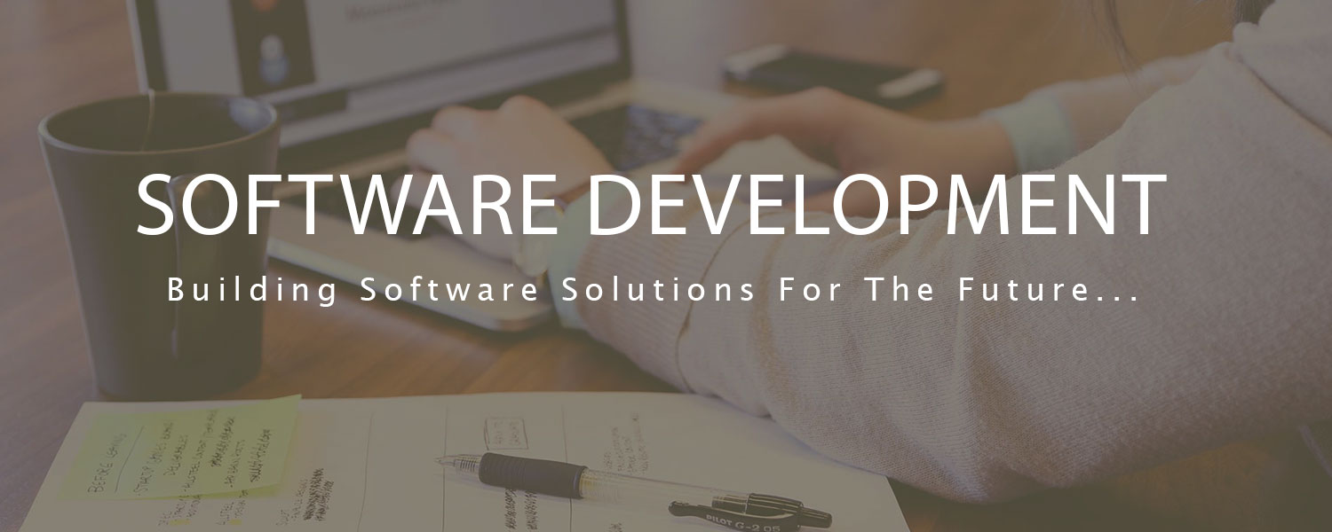 custom software development